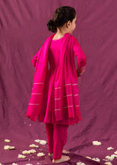 Rani Draped Anarkali Ensemble