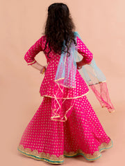 Royal Magenta Foil Lehenga for Girls